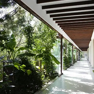 The Lifeco Bodrum Well-being Detox Center And Vegan (adults Only) *** Göltürkbükü